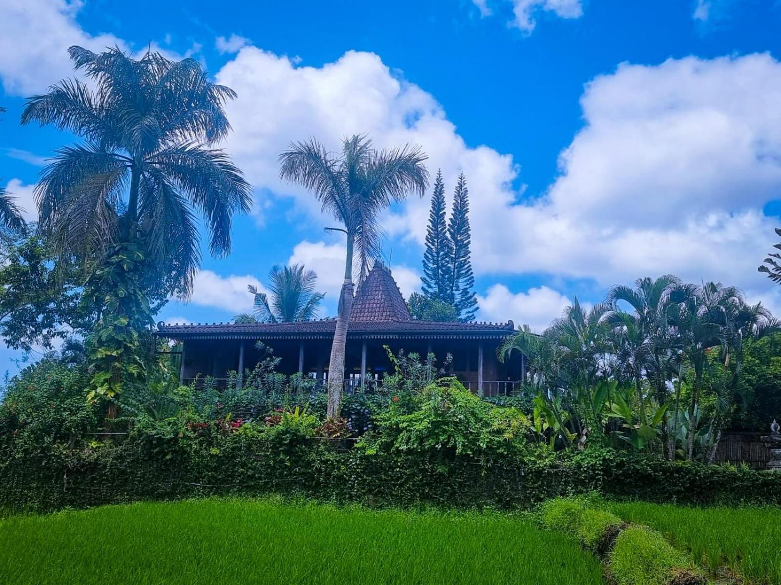Ayu Dira Heritage House Ubud Extérieur photo
